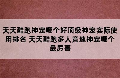 天天酷跑神宠哪个好顶级神宠实际使用排名 天天酷跑多人竞速神宠哪个最厉害